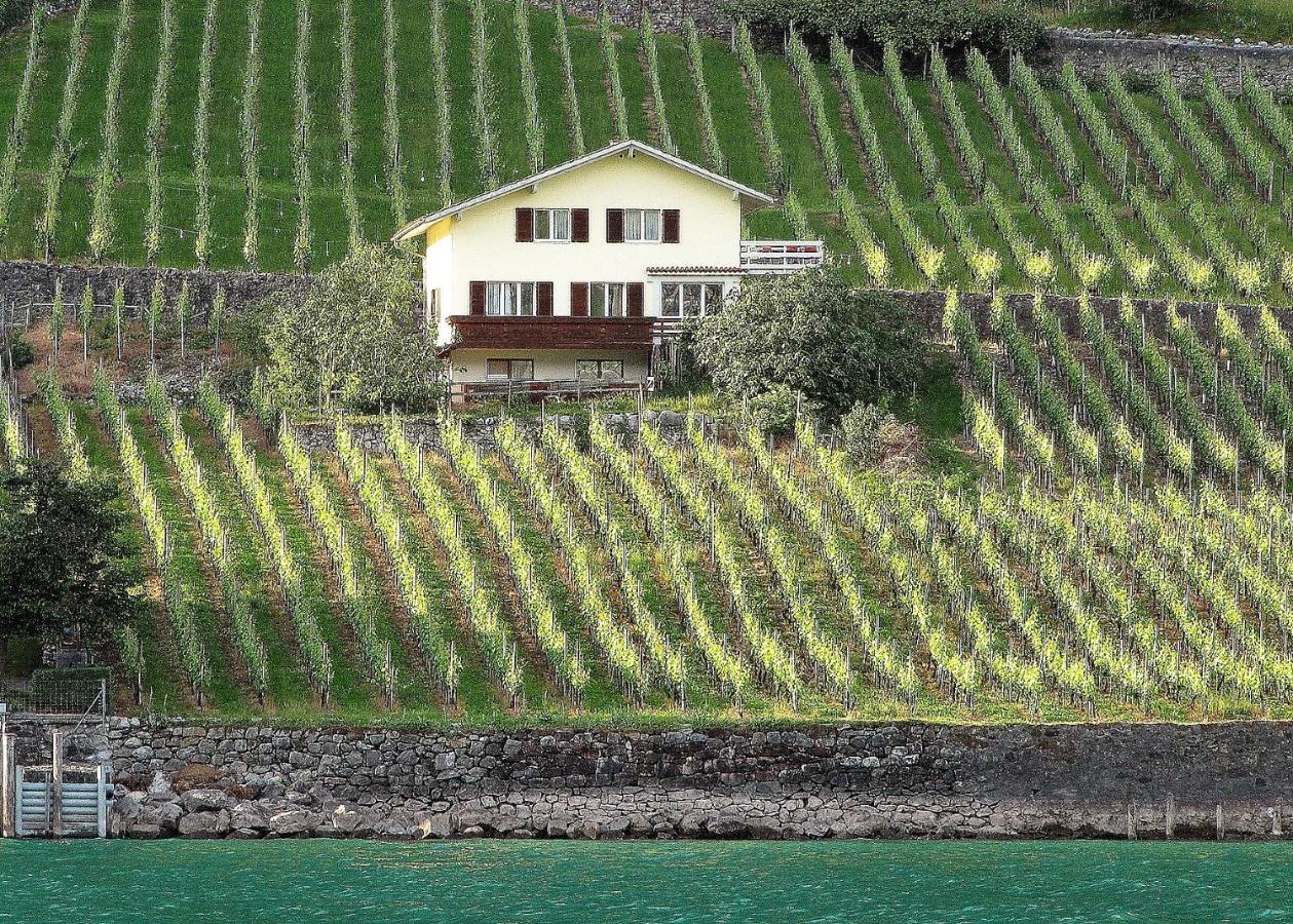 Haus Bünten Quinten Exterior foto